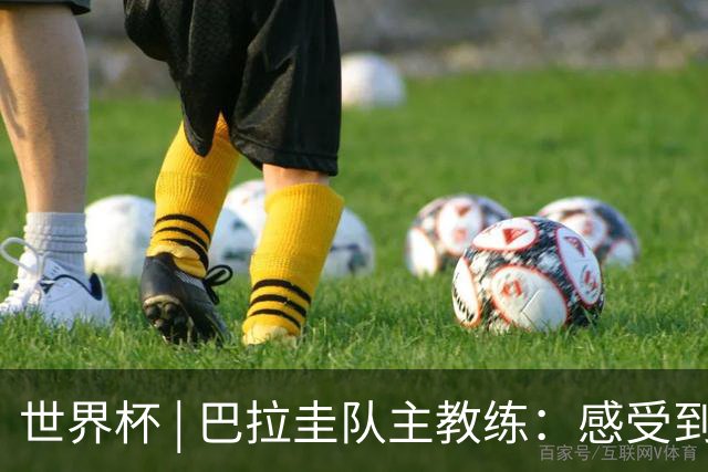 世界杯 | 巴拉圭队主教练：感受到比赛的极致压力