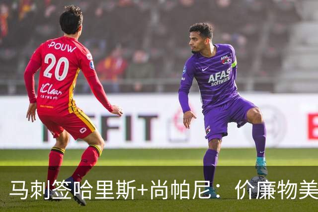 马刺签哈里斯+尚帕尼：价廉物美